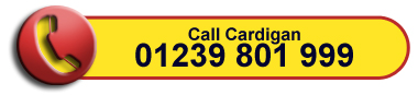 Call E and M Motor Factors Cardigan on 01239 801 999