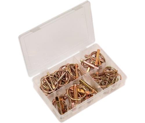 Sealey Linch Pin Assortment 50pc Metric AB022LP - AB022LPImage1.jpg