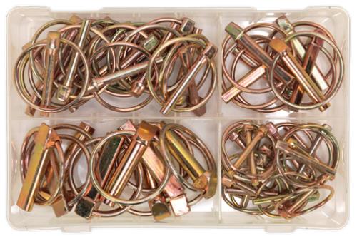 Sealey Linch Pin Assortment 50pc Metric AB022LP - AB022LPImage3.jpg