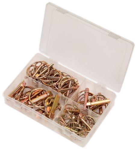 Sealey Linch Pin Assortment 50pc Metric AB022LP - AB022LPImage4.jpg