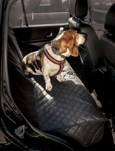 Maypole Rear Seat Pet Protector Doggy Seat Covers Boot Hammock MP6527 - Maypole6527BENCHAndDOG.jpg