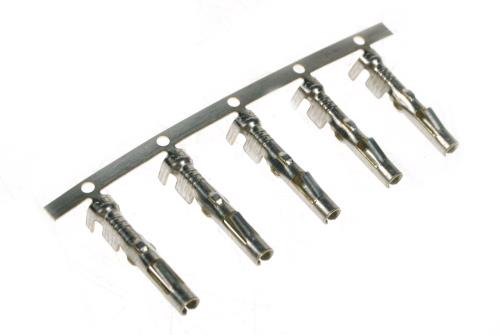 Maypole Radex Spare Pins for 5 Pin & 2 Pin Quick Fit Plug (50x) MP8041 - Maypole8041.JPG