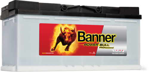 Banner Power Bull PROfessional Battery (18) PRO P110 40 - PRO-P110-40.png