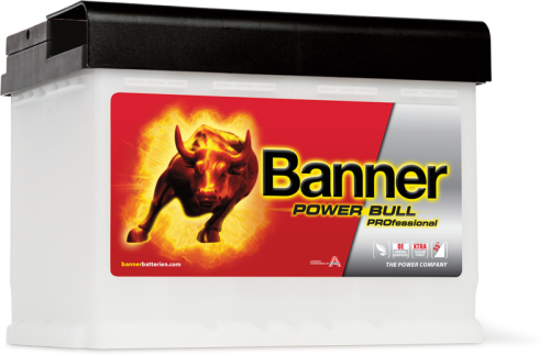 Banner Power Bull PROfessional Battery (199) PRO P50 40 - PRO-P50-40.png