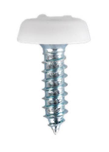 Sealey 4.8 x 18mm White Numberplate Screws - Pack of 50 Pl PTNP1-SEA - PTNP1Image3.jpg