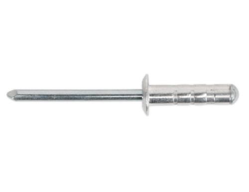 Sealey Aluminium Multi-Grip Rivet Std Flange 4.8 x 19mm 500x RM4819S5 - RM4819S5Image1.jpg
