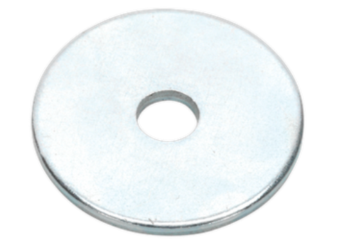 Sealey M5 x 19mm Zinc Plated Repair Washer - Pack of 100 RW519-SEA - RW519Image1.png