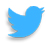 E and M Motor Factors on Twitter